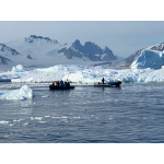 Ushuaia, Cape Horn & Falklands ( Malvinas) 2022